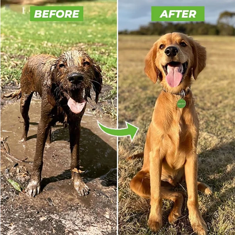 Pro Pet Wash Shower Gun